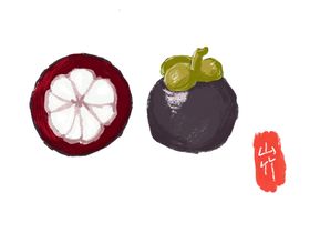山竹插画素材
