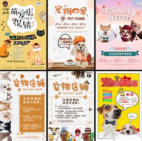 宠物店铺宣传海报