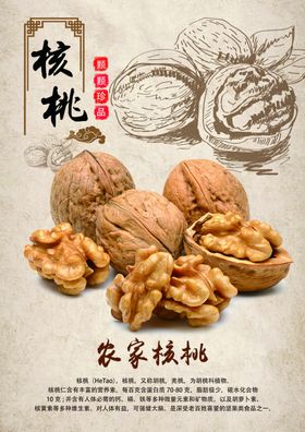核桃食材食物插画宣传活动海报