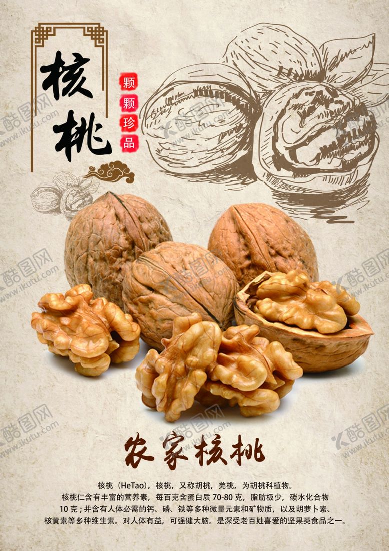 编号：83552009161416202971【酷图网】源文件下载-核桃食材食物插画宣传活动海报