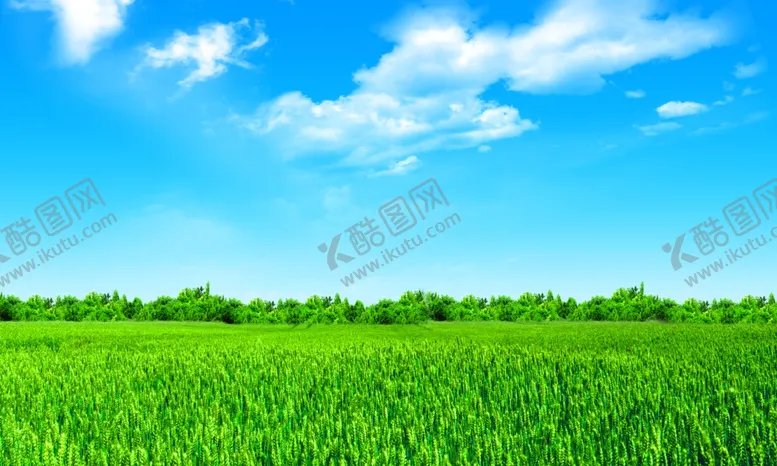 编号：90455807041551582984【酷图网】源文件下载-蓝天白云绿草背景
