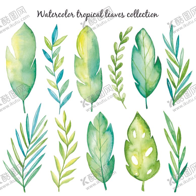 编号：70576009240450449227【酷图网】源文件下载-水彩叶子