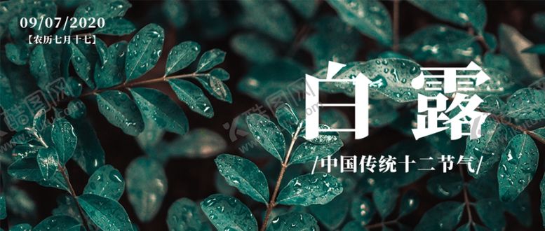 编号：36814509230824118530【酷图网】源文件下载-白露海报