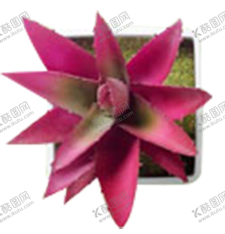 编号：95107809232237277119【酷图网】源文件下载-国庆展架