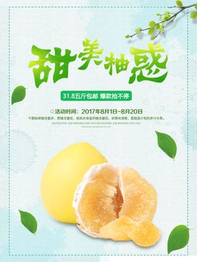 柚子海报