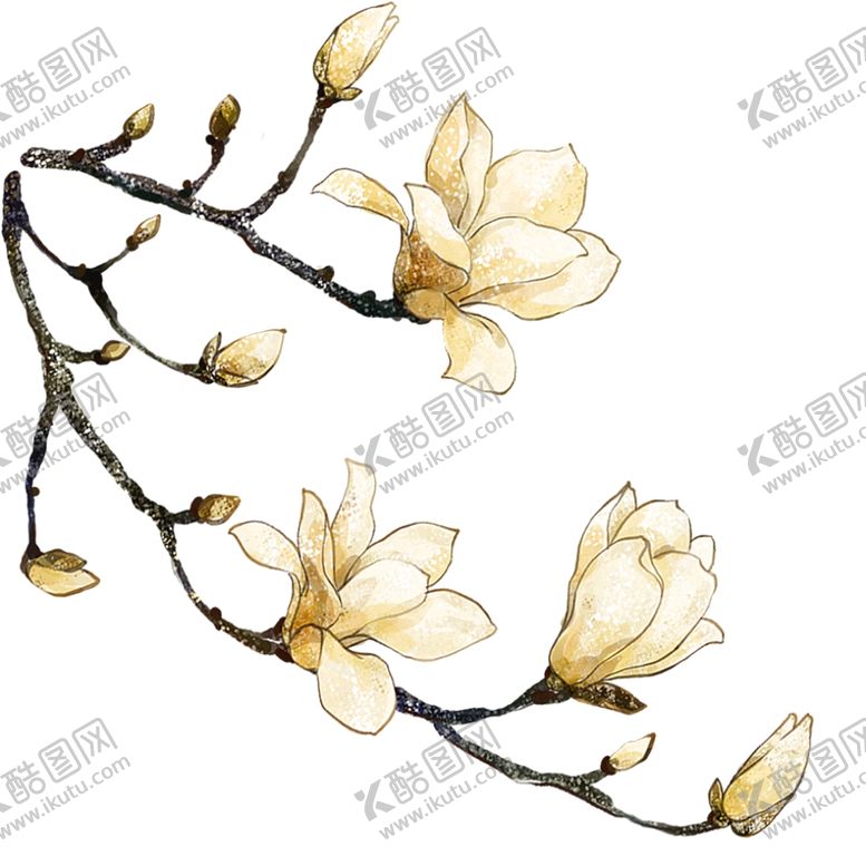 编号：86807211260211151414【酷图网】源文件下载-花朵 