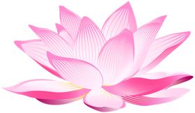 莲花