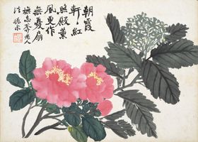 植物花卉绘画图谱