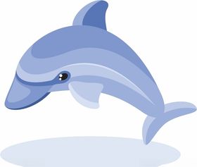 海豚