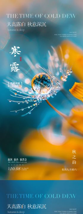 寒露节气海报房地产水秋天