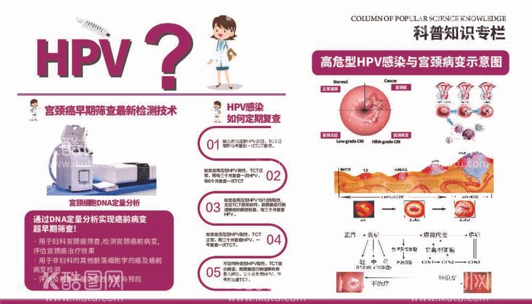 编号：19017712042026348176【酷图网】源文件下载-HPV展板