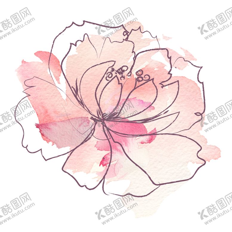 编号：36503709110129517172【酷图网】源文件下载-植物手绘水彩
