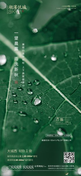 大气地产白露节气海报