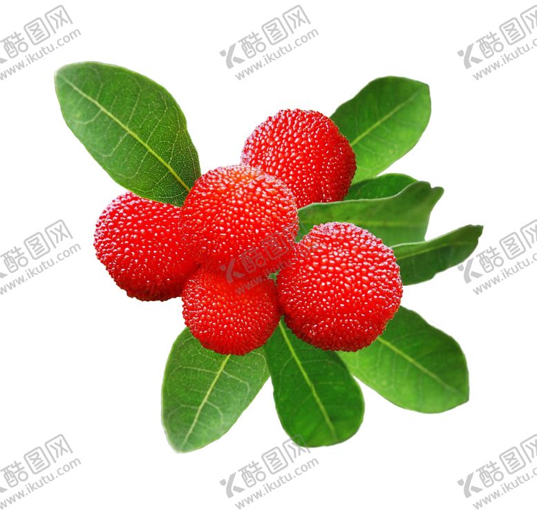 编号：82782210051636562931【酷图网】源文件下载-水果