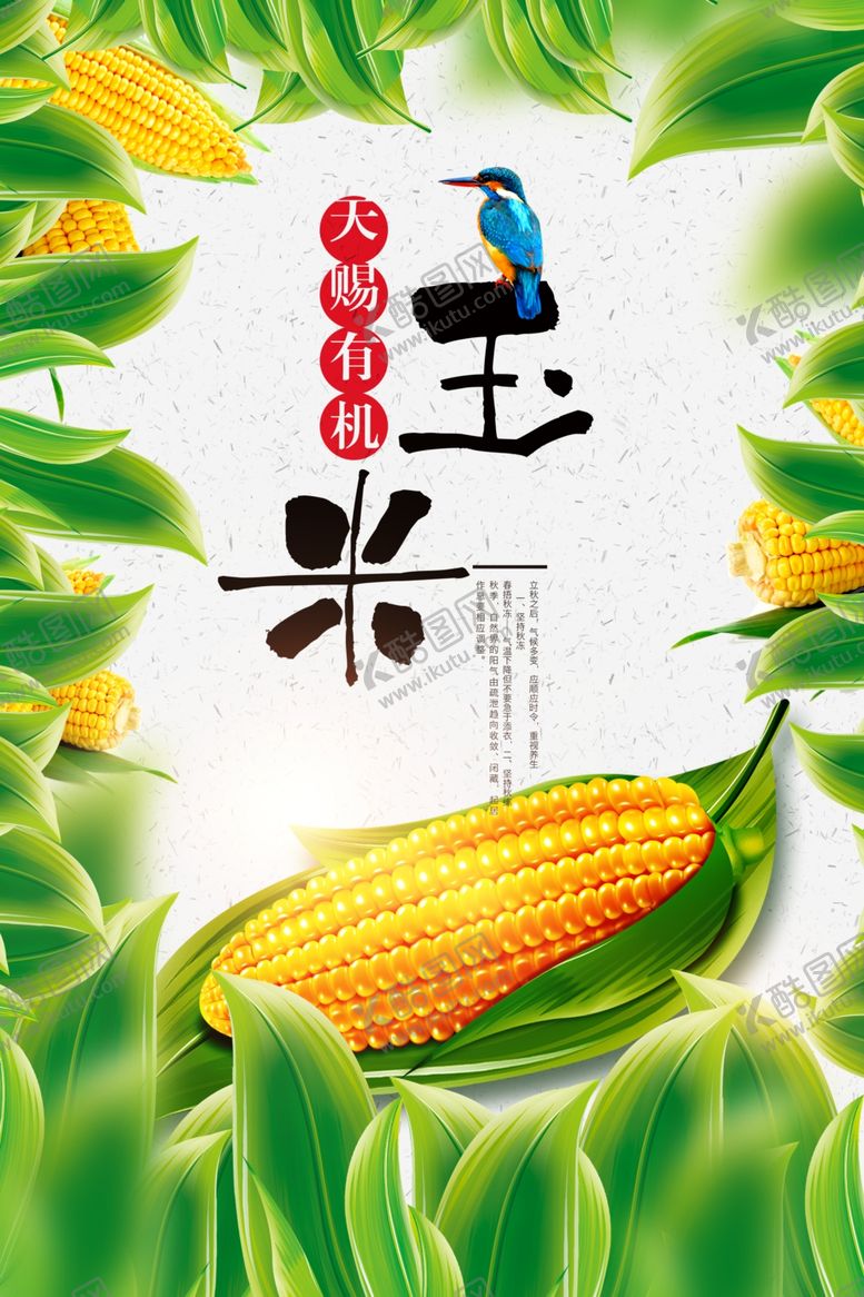 编号：53254801250316149344【酷图网】源文件下载-玉米