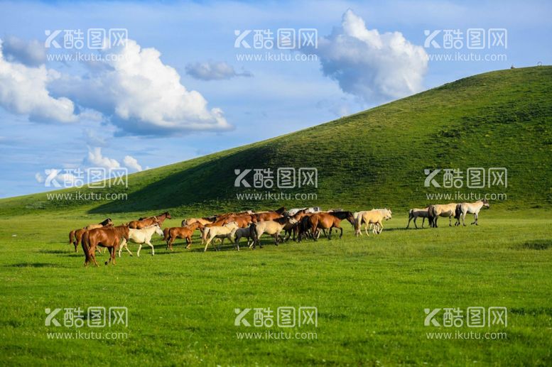 编号：77765212271638366251【酷图网】源文件下载-大草原