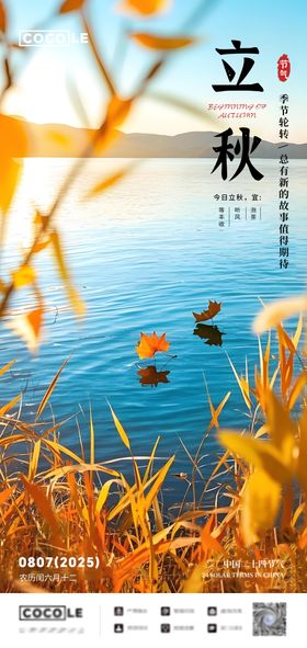 立秋节气文艺海报