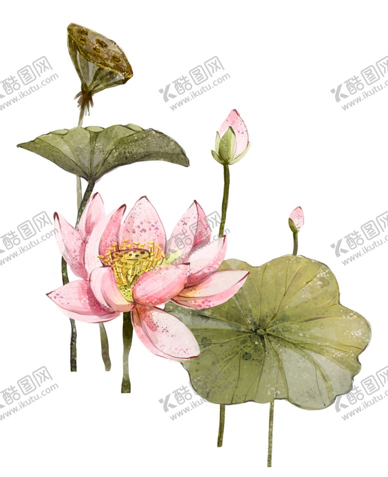 编号：57271709251328192233【酷图网】源文件下载-水墨荷花
