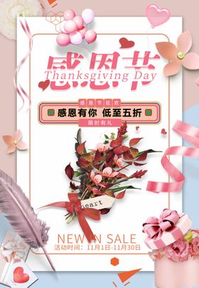 感恩节促销