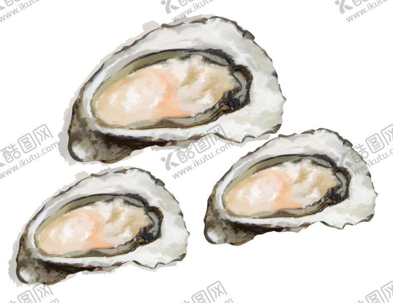 编号：52436905071431536624【酷图网】源文件下载-生蚝牡蛎图片