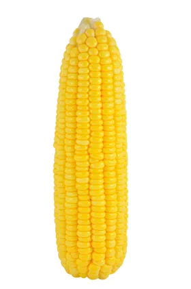玉米图片蔬菜透明底瓜果蔬菜透明底蔬菜