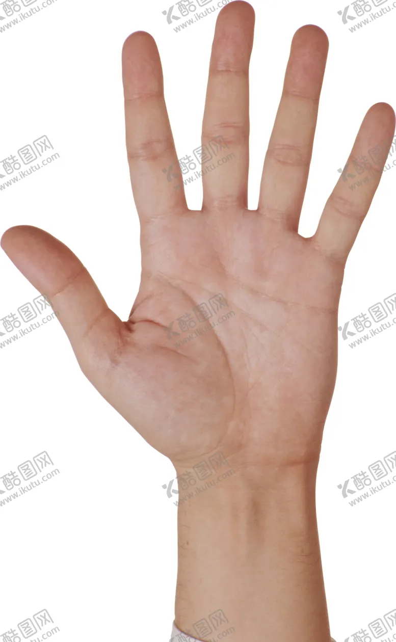 编号：49266702210235117478【酷图网】源文件下载-手部特写图