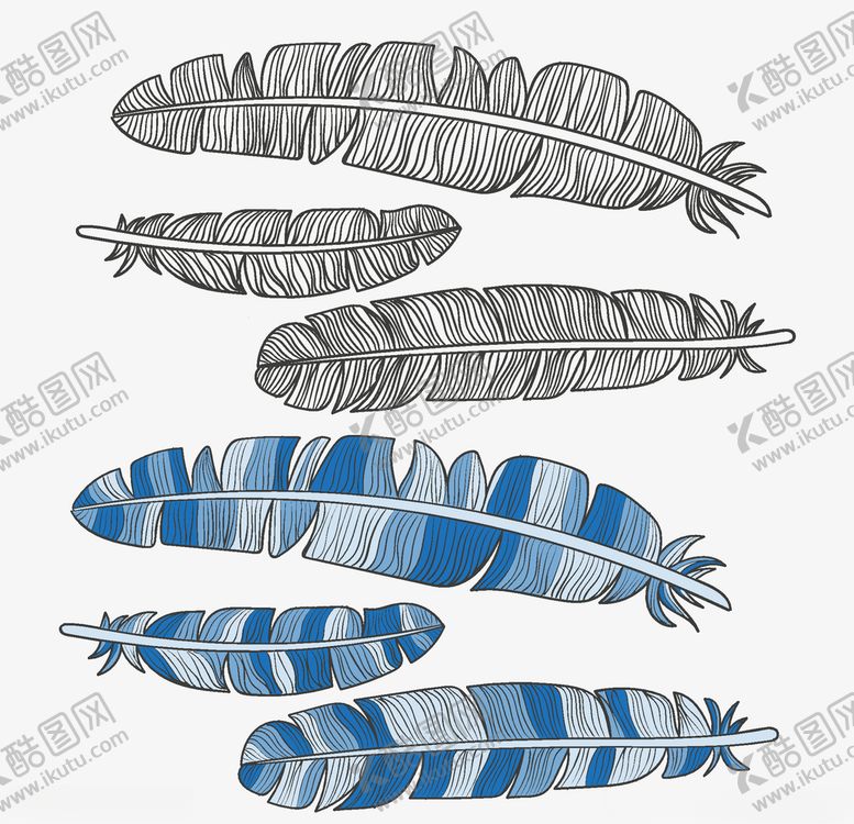 编号：35102909280433407012【酷图网】源文件下载-羽毛