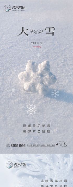 地产大雪节气系列海报