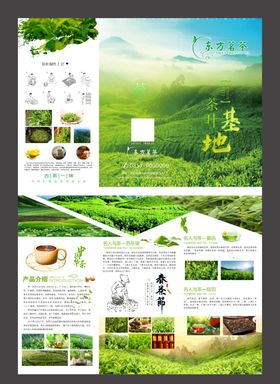 传统文化·茶