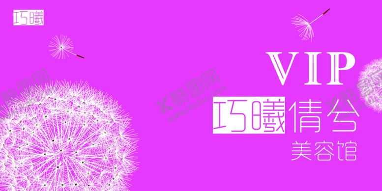 编号：48570405152346005896【酷图网】源文件下载-简约时尚美容馆vip卡