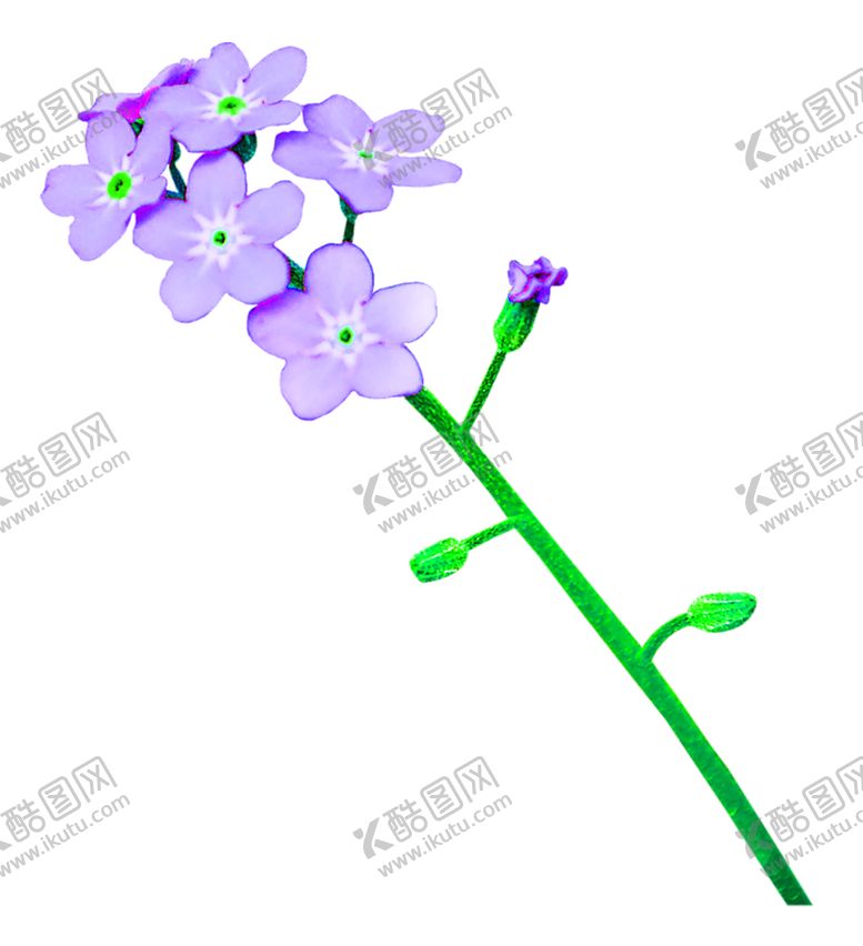 编号：35813009242329467732【酷图网】源文件下载-花素材