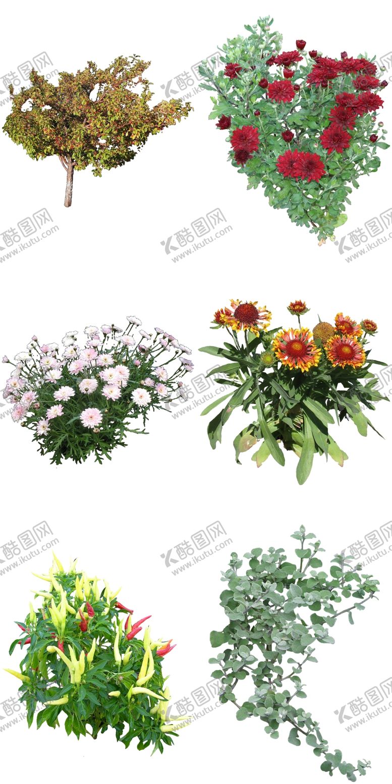 编号：10303612090133576021【酷图网】源文件下载-微景观花卉