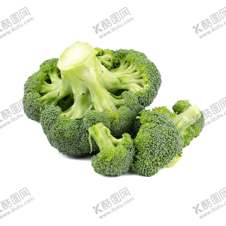 编号：25284510110657503495【酷图网】源文件下载-西蓝花西兰花