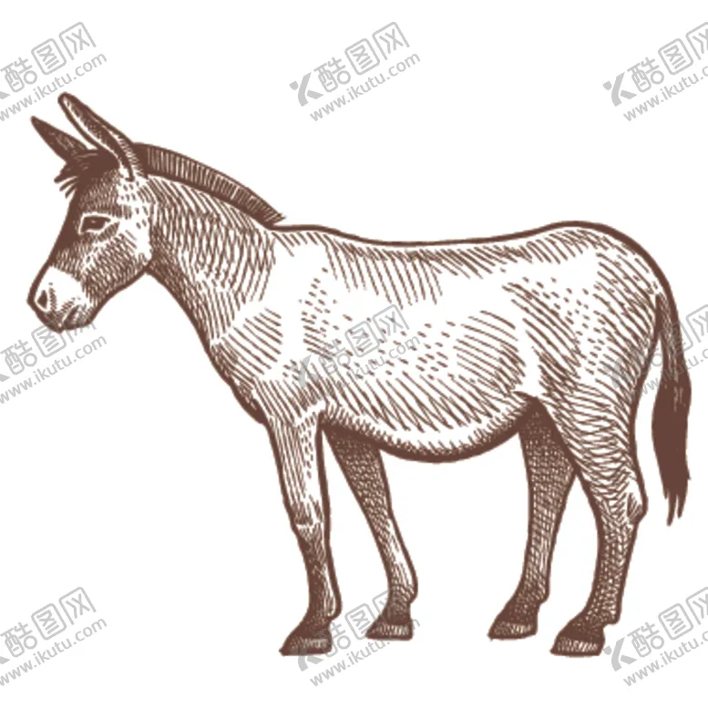 编号：27377105160950256963【酷图网】源文件下载-家养动物主题插画