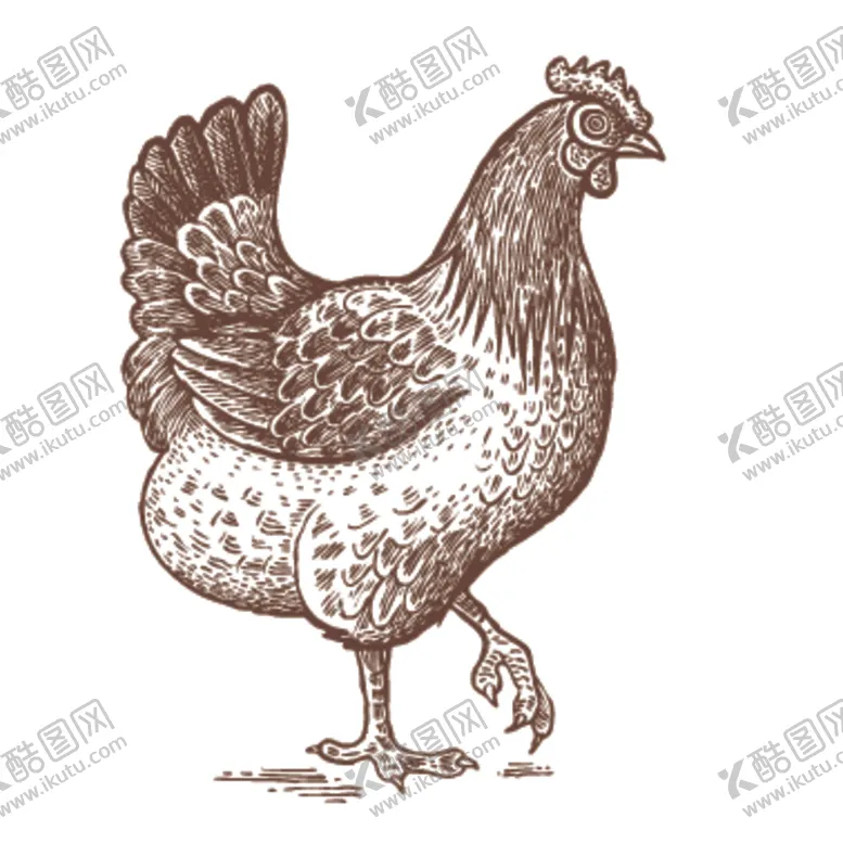 编号：53361906162026195012【酷图网】源文件下载-餐饮食物插画元素