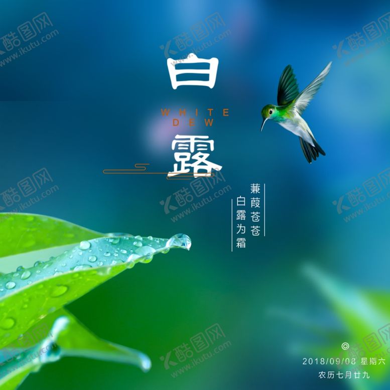 编号：44872510300058252753【酷图网】源文件下载-白露