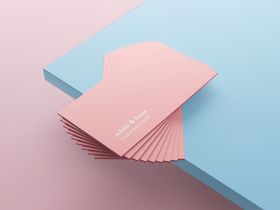 名片样机智能对象卡展示简约设计VI