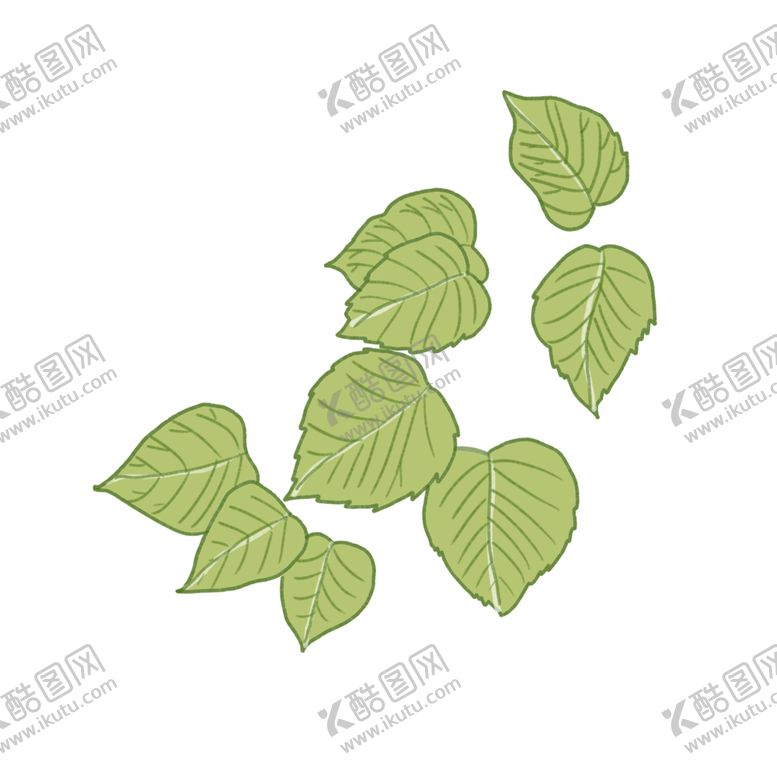编号：95891207140307578071【酷图网】源文件下载-薄荷植物元素