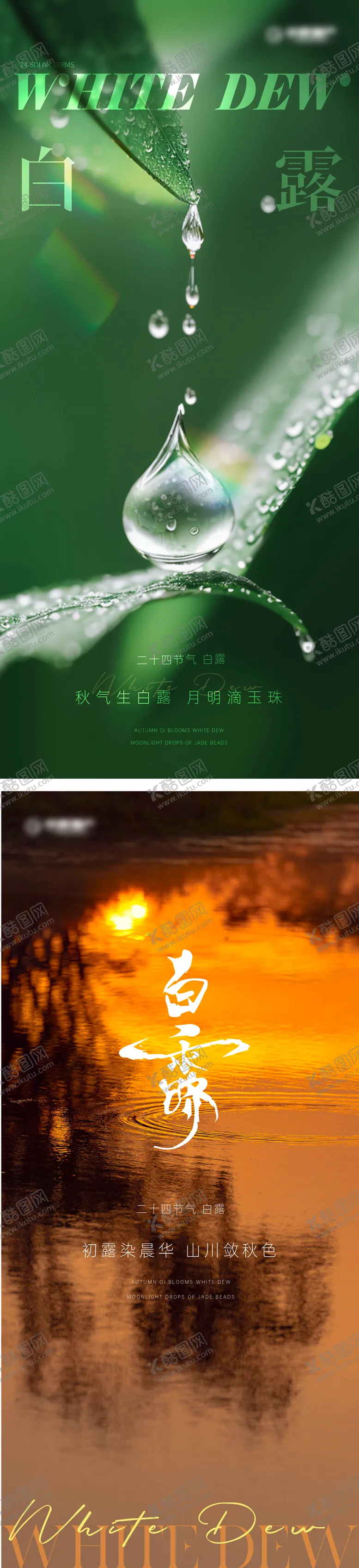 编号：75024412020020032744【酷图网】源文件下载-白露节气单图