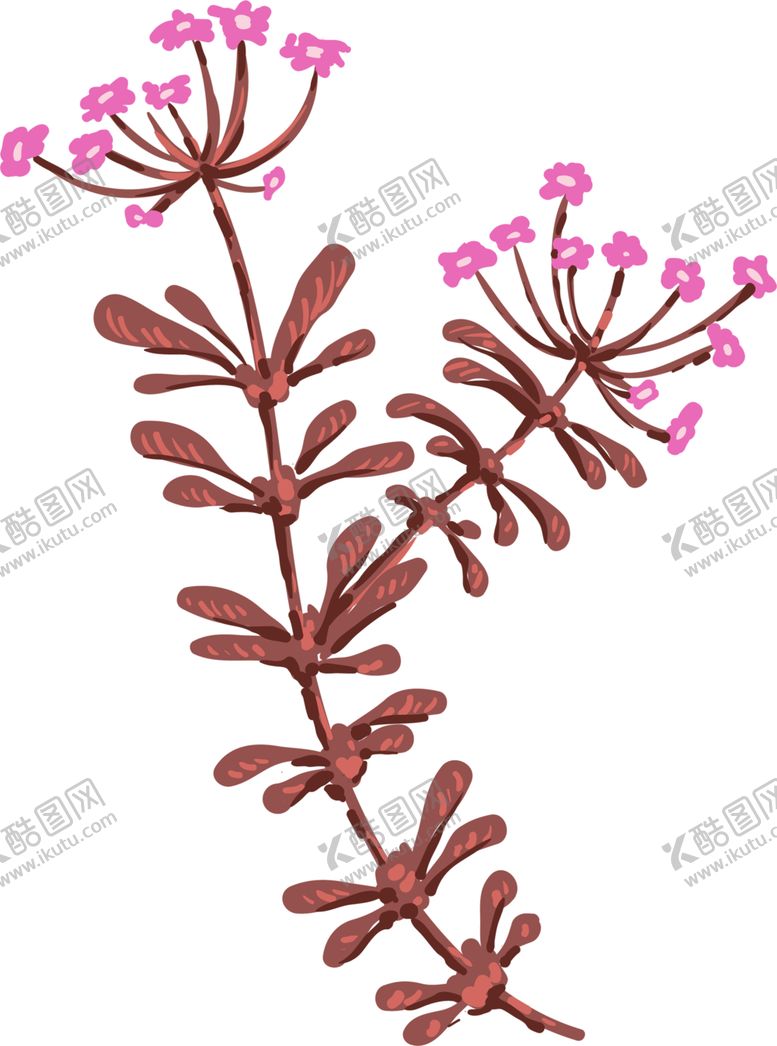 编号：97959305191109225179【酷图网】源文件下载-鲜花素材
