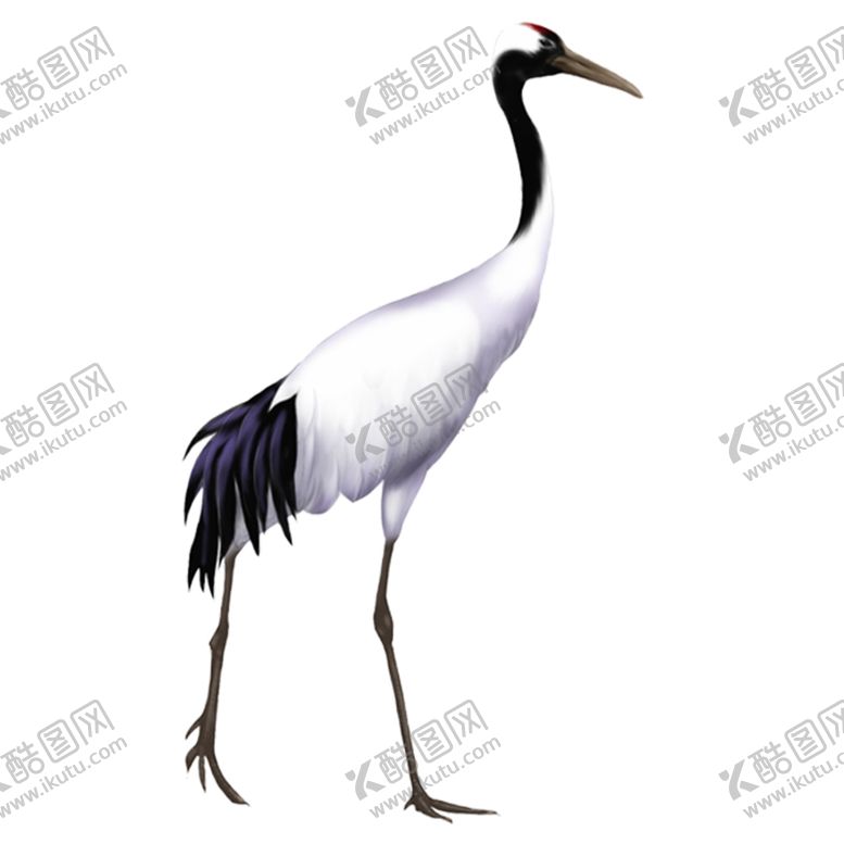 编号：68025905090916522544【酷图网】源文件下载-仙鹤元素