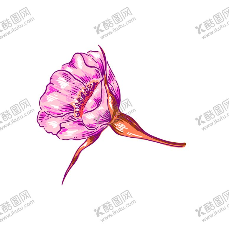 编号：49659209280921472605【酷图网】源文件下载-鲜花素材