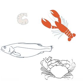 海鲜线框图透明素材矢量文件