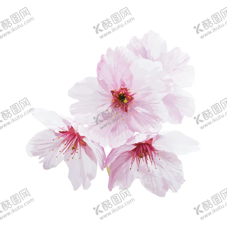 编号：31136504190315506495【酷图网】源文件下载-桃花