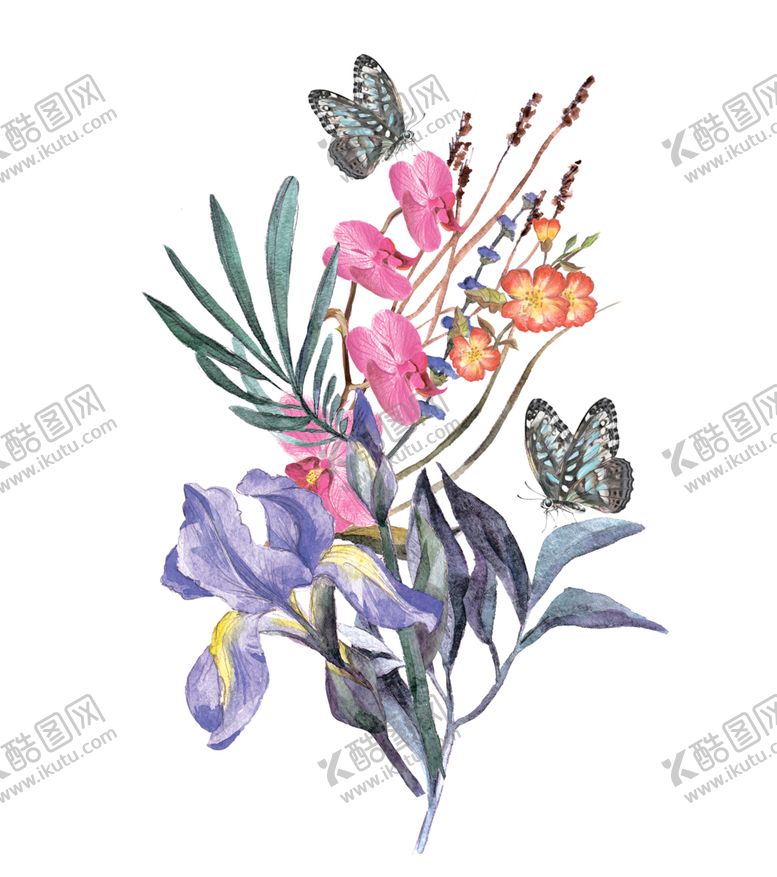 编号：69229807020748225539【酷图网】源文件下载-手绘植物