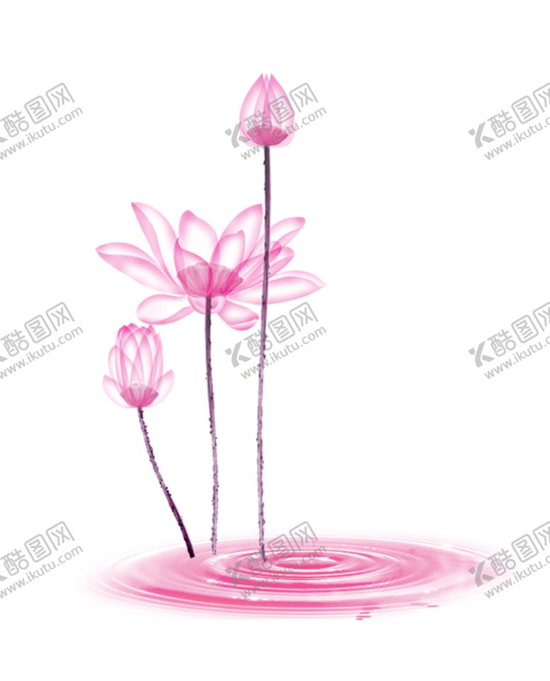 编号：50089506260413358951【酷图网】源文件下载-荷花元素
