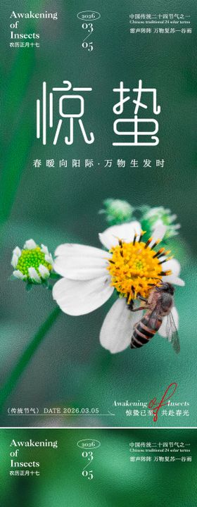 惊蛰绿色背景海报