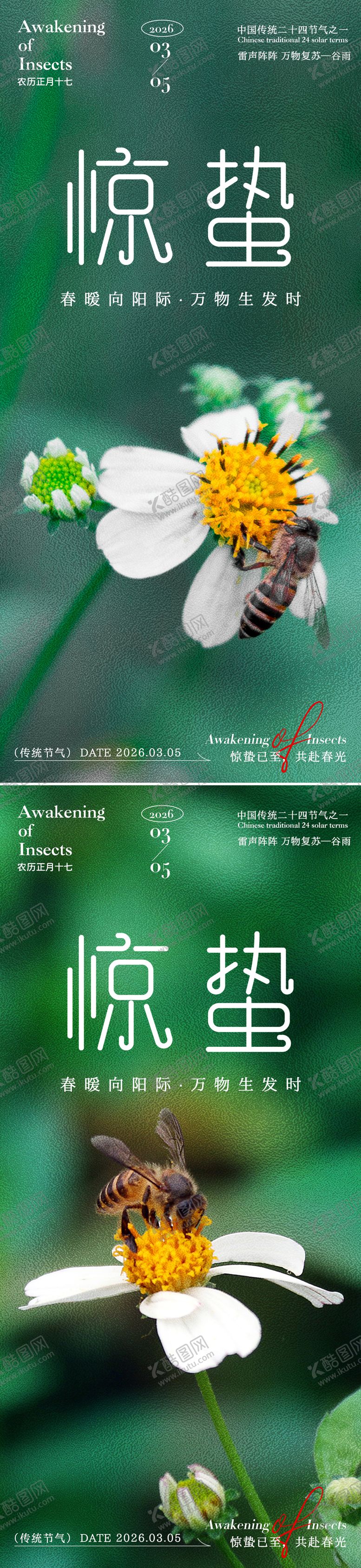 编号：89420602160220458503【酷图网】源文件下载-惊蛰绿色背景海报