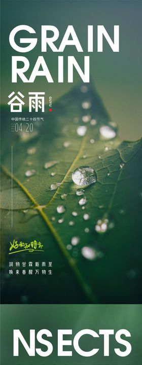 谷雨惊蛰海报