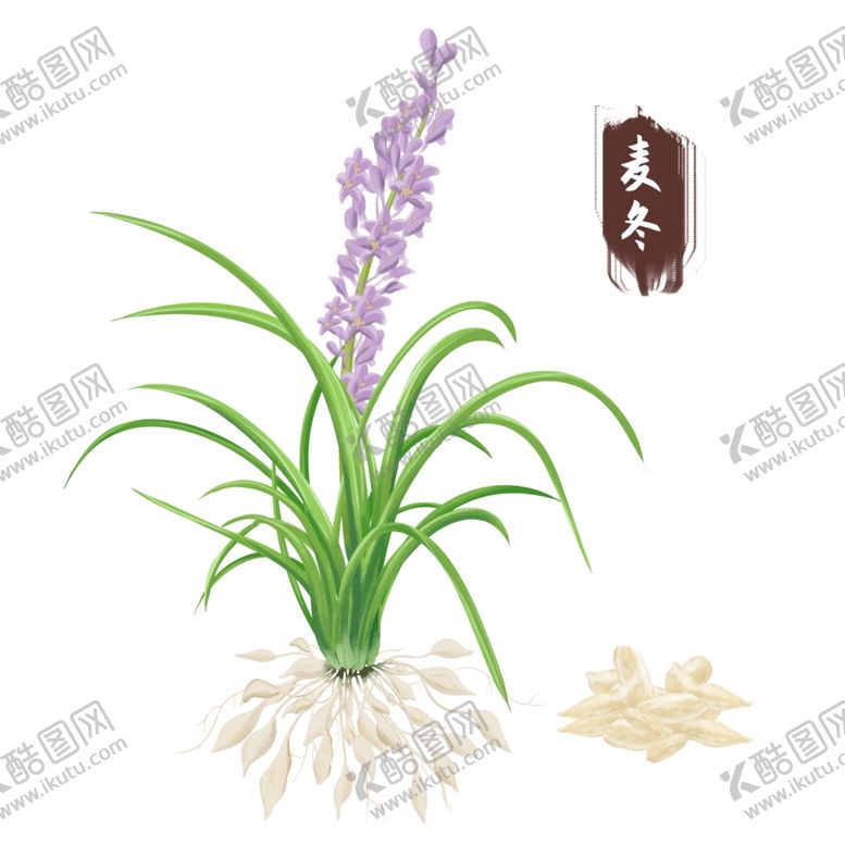编号：93933801271407514591【酷图网】源文件下载-中药手绘插画
